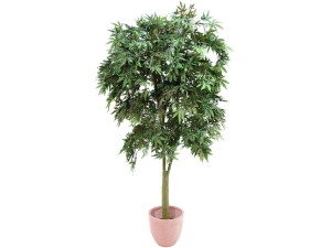 Europalm Ash-leaved maple, green, 220cm