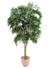 Europalm Ash-leaved maple, green, 220cm