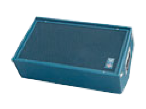 Stage Accompany Leader L24 - Wedge 12"