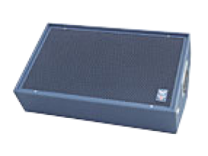 Stage Accompany Leader L27 - Wedge 15"