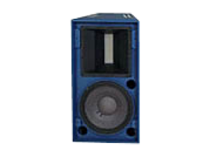 Stage Accompany Performer P24s - Top 1x12"